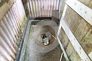 Closeup traditional toilet hole on ground. Faeces droppings into river