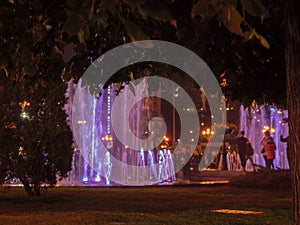 Closeup of tree branches and blurry Maidan Nezalezhnosti square with fountains and people around