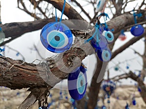 Closeup of tree with multiple blue evil eye charms hanging from it