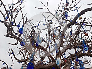 Closeup of tree with multiple blue evil eye charms hanging from it