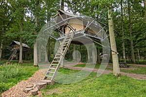 Closeup of Tree tent at Wildpark of Han-Sur-Lesse, Belgium