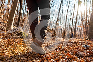 Closeup of trekking shoes.