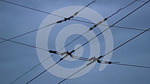 Closeup trolleybus wires cloudy sky. Electrical cables net for high voltage