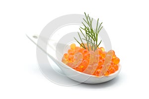 trout roe in a ceramic spoon with a dill leaf on white background