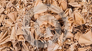 Closeup of twisted wood shavings as decorative beige background