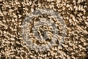 Closeup of twisty wool carpet