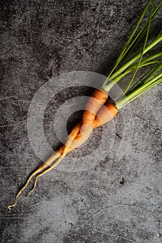 closeup two carrots intertwined twisted like lovers