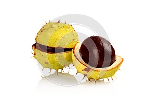 Closeup two chestnuts isolated on a white background