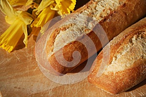 Closeup of two french baguettes and a daffodil