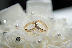 Closeup of two golden wedding rings on white flowers.