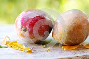 closeup of two mangoes fruit on table