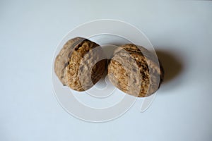 Closeup of two ripe brown rounded fruits of Persian walnut