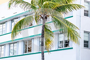 Closeup of typical colorful Art Deco architecture with tropical palm tree on Ocean Drive in South Beach, Miami, Florida