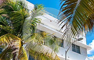 Closeup of typical colorful Art Deco architecture with tropical palm tree on Ocean Drive in South Beach, Miami, Florida