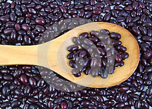 Closeup of uncoocked red beans on wooden spoon