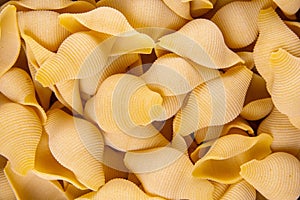 Closeup of uncooked italian pasta - conchiglie