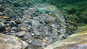 Closeup underwater view of water and smooth rocks of Verzaska mountain river.