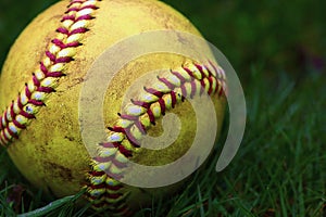Closeup of a used, yellow softball resting on green grass.