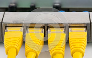 Closeup UTP RJ-45 connectors into routers ports