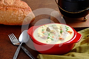 Closeup vegetable cream chicken soup