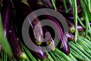 Closeup of vegetable eggplants on top of string beans.