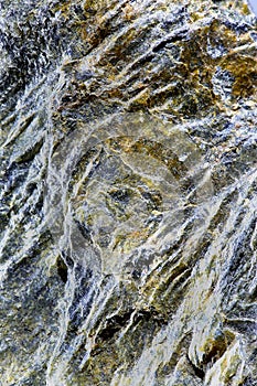 Veiny Mineral Surface
