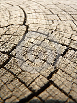 Closeup vertical shot  of a cracked wood background