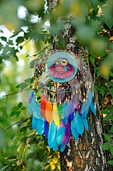 Closeup vibrant dreamcatcher with colorful feathers in park