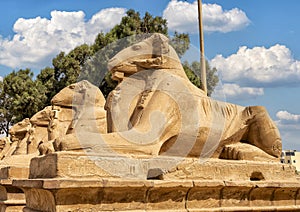 Closeup view Avenue of the Sphinxes from the first pylon of the Karnak Temple in Luxor, Egypt.