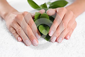 Closeup view of beautiful female hands with green leaves on towel