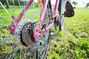 Closeup view of bicycle sprocket on the rear wheel