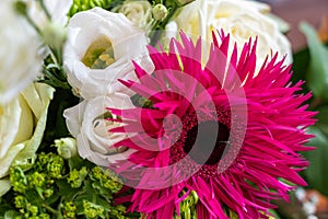 Closeup view of a bouquet with white roses, pink alpine aster, and green spider mum flowers