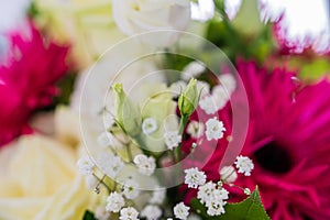 Closeup view of a bouquet with white roses, pink alpine aster, and green spider mum flowers