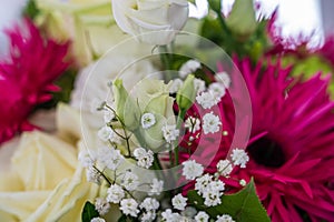 Closeup view of a bouquet with white roses, pink alpine aster, and green spider mum flowers