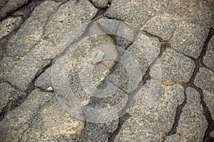 Closeup view of an broken asphalt road in wet cracks