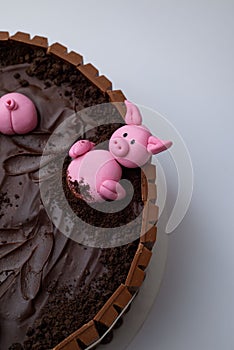 Closeup view of a chocolate cake decorated with swines