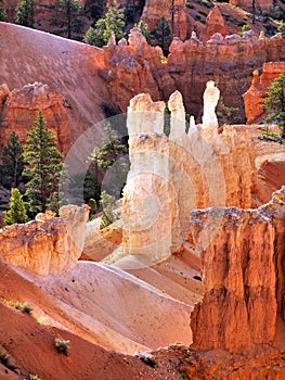 Bryce Canyon Hoodoos Closeup