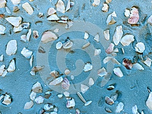 Closeup view of concrete stucco blue seawall with embedded ocean shells shot as an industrial scene