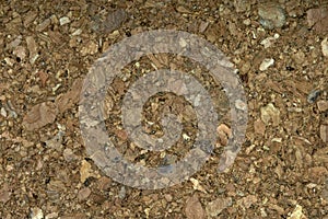 Closeup view of cork board