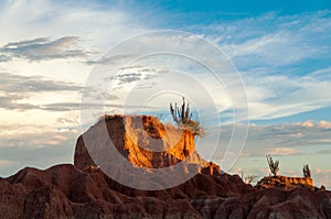 Closeup View of Desert Mesa photo