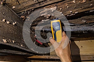 Indoor damp & air quality IAQ testing. photo