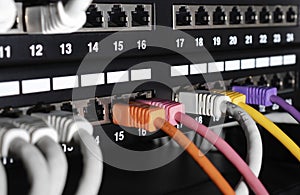 Closeup view of ethernet cables connected into patch panel