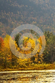 Closeup view of fall foliage at Morey Pond, New Hampshire