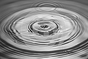 Closeup view of falling drops on water surface isolated on black and white background
