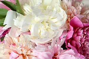 Closeup view of fragrant peony flowers