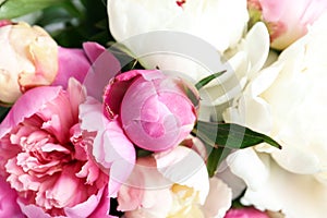 Closeup view of fragrant peony flowers