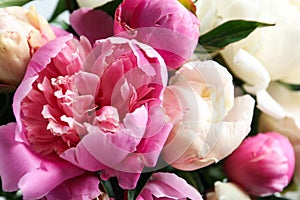 Closeup view of fragrant peony flowers