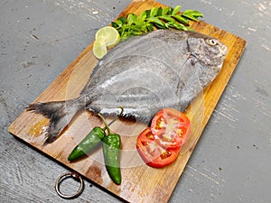 Closeup view of Fresh Black Pomfret Fish decorated with herbs and vegetables Selective focus photo