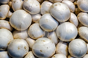 Fresh field mushrooms in food store