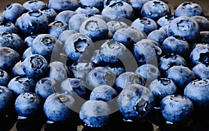 Closeup view of fresh blue blueberry fruits. vegan lifestyle concept